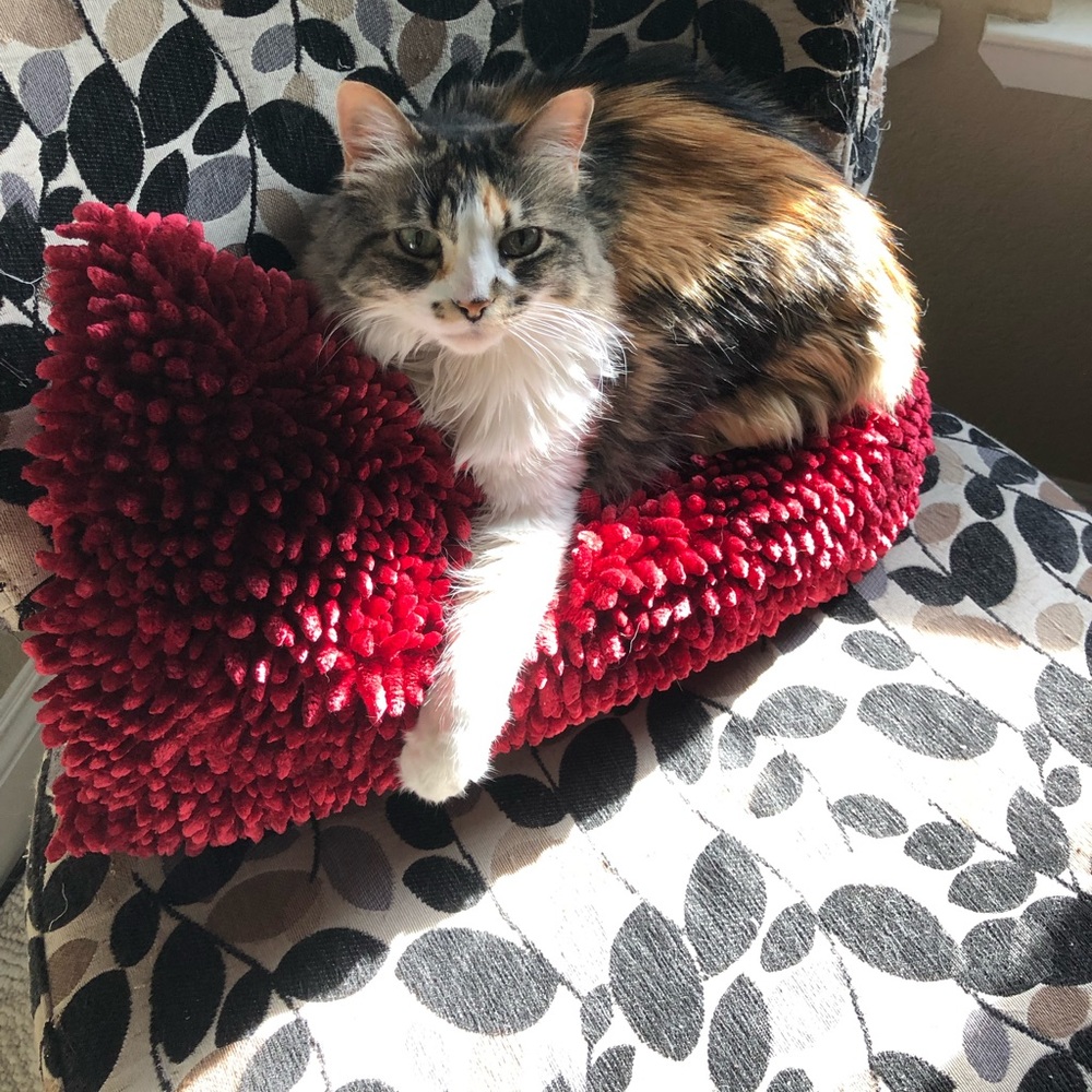 Meet your Posher, Sharon